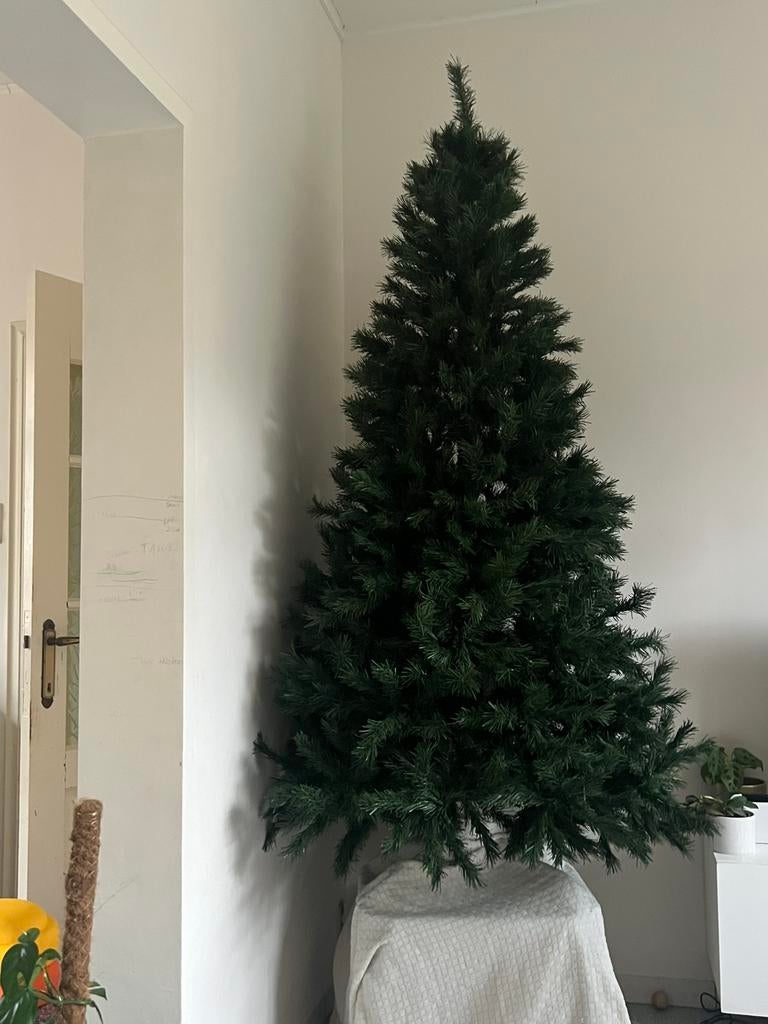 Kerstboom 210 cm (zonder versiering), Ophalen