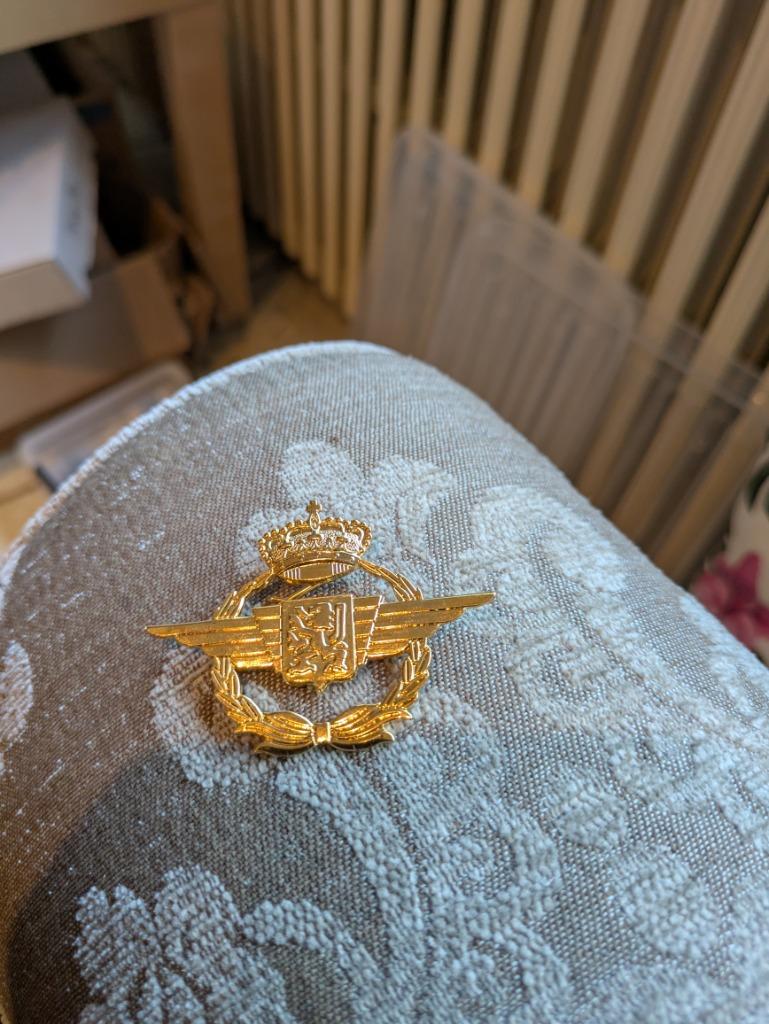 Mutskenteken luchtmacht, Enlèvement ou Envoi, Armée de l'air, Emblème ou Badge