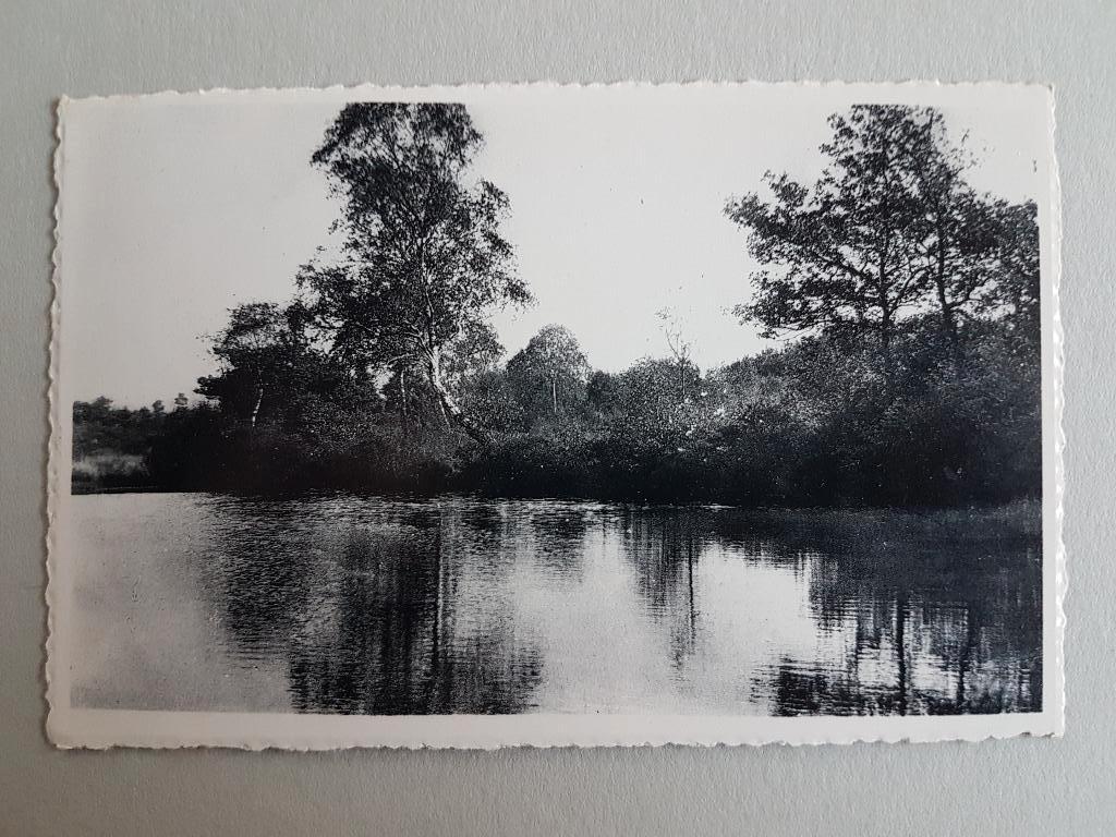 Postkaart Genk Genck Vijver, Verzamelen, Postkaarten | België, Ongelopen, Limburg, 1940 tot 1960, Ophalen of Verzenden