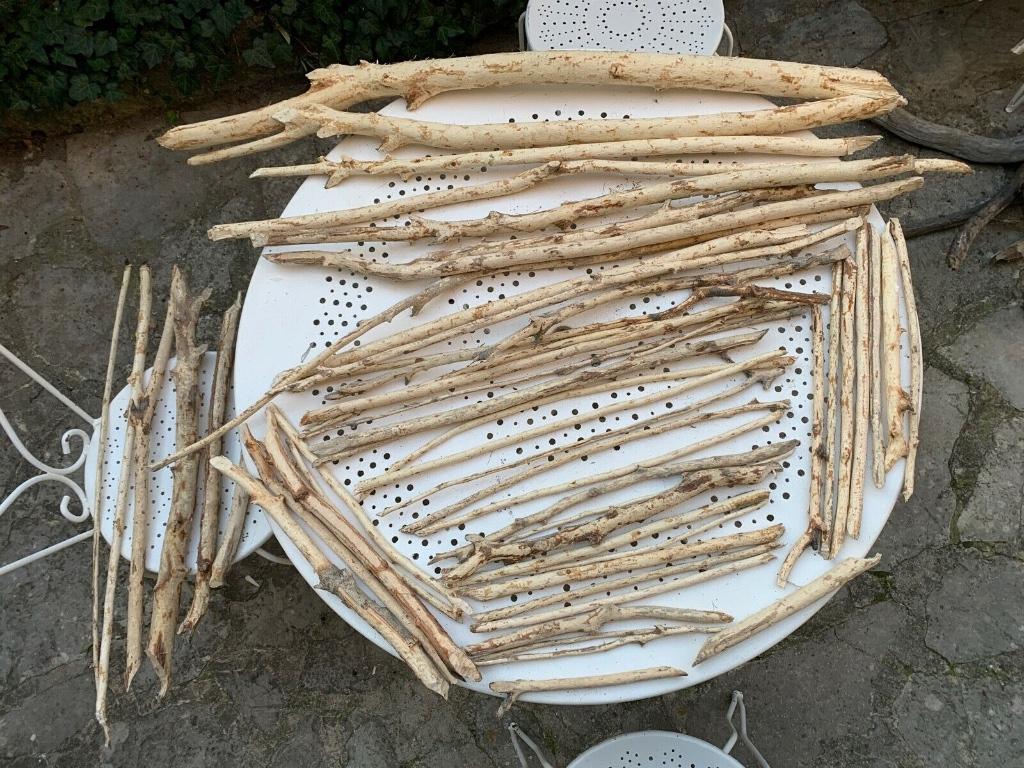 Unique !!! Bois flotté "castor" 55 morceaux long de 24cm à 1, Antiquités & Art, Art | Sculptures & Bois, Envoi, Bois