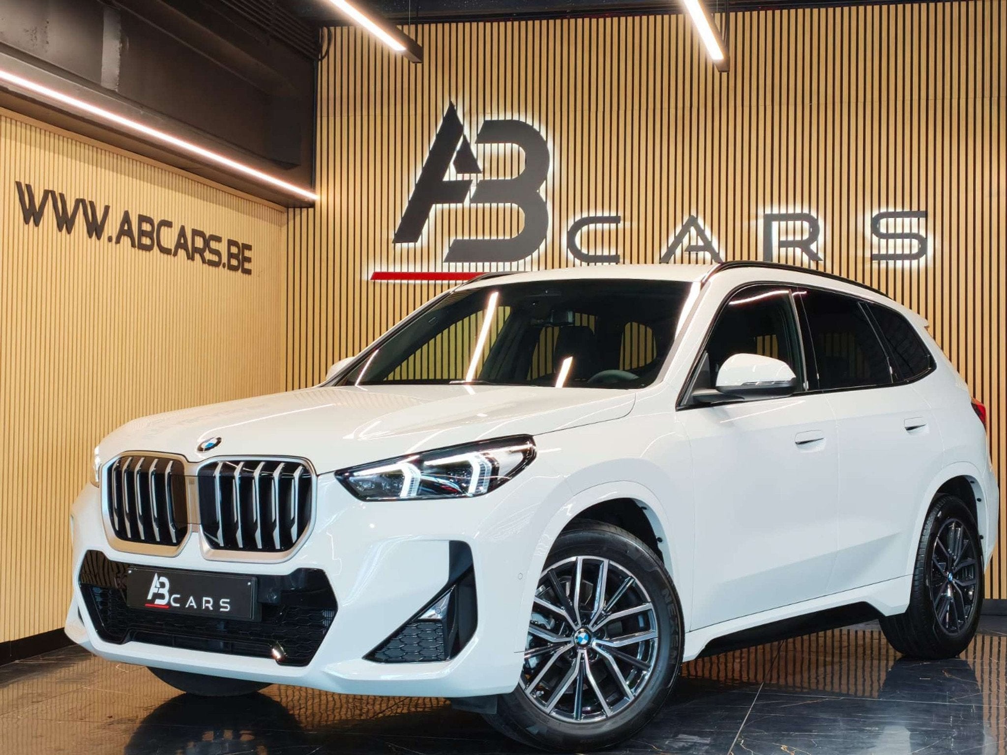 BMW X1 1.5IA SDRIVE20I PACK M * GARANTIE 12 MOIS *, X1, Achat, Noir, 5 portes