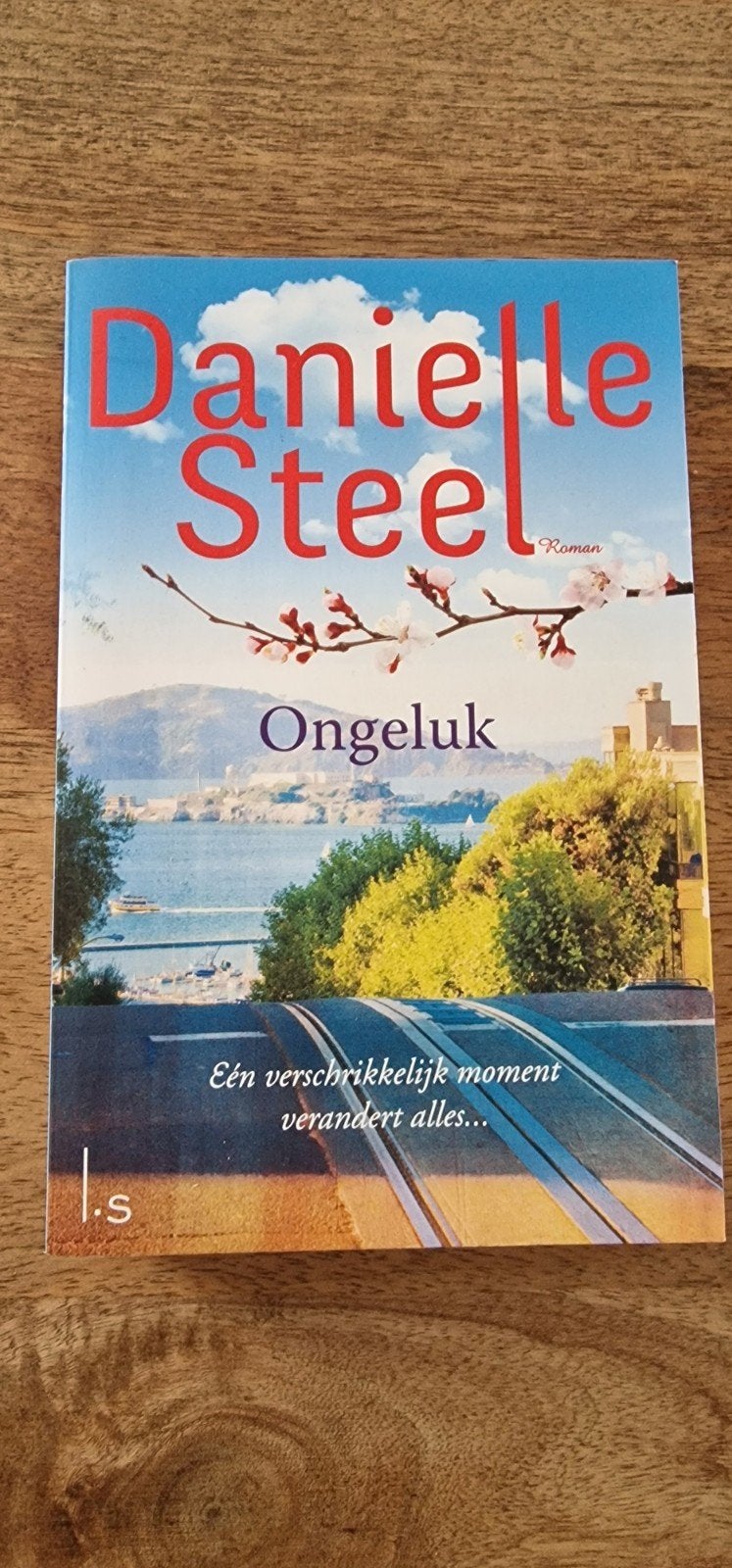 Danielle Steel - Ongeluk, Boeken, Ophalen of Verzenden, Danielle Steel, Nederland