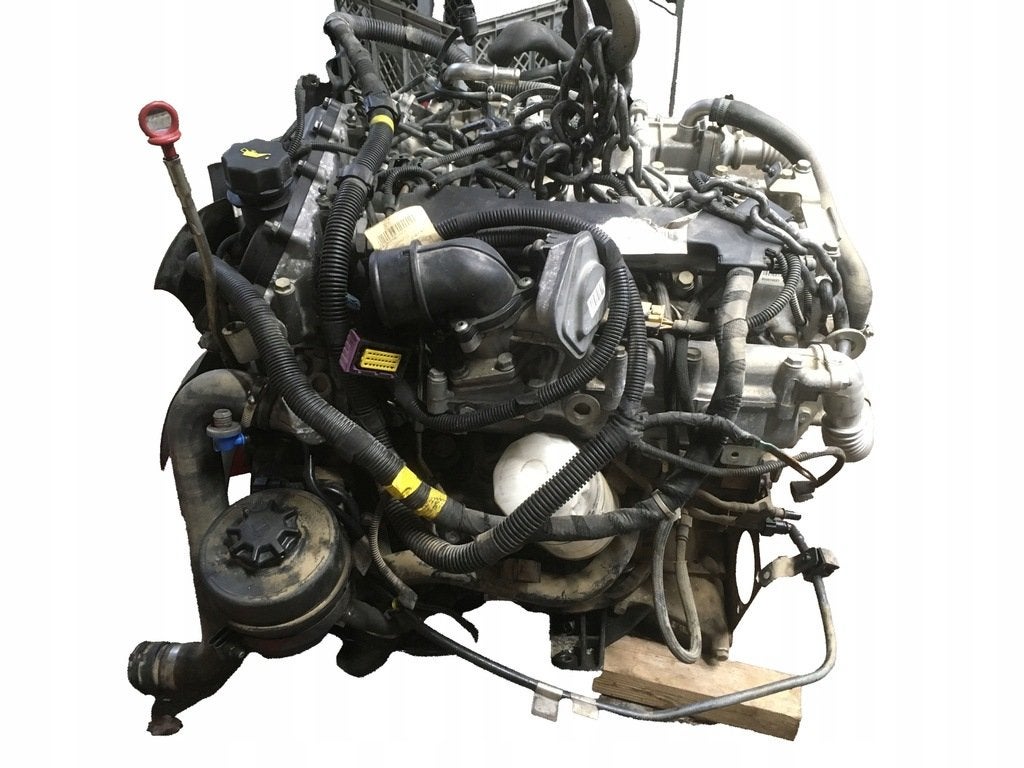 Moteur F1CE3481J Complet Daily IVECO, Auto-onderdelen, Motor en Toebehoren, Alfa Romeo, Amerikaanse onderdelen, Audi, BMW, Citroën