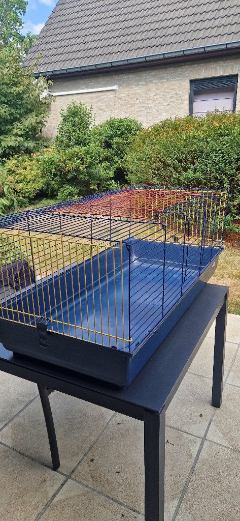Cavia of konijnen kooi, Dieren en Toebehoren, Kooi, Konijn, Ophalen, Minder dan 60 cm