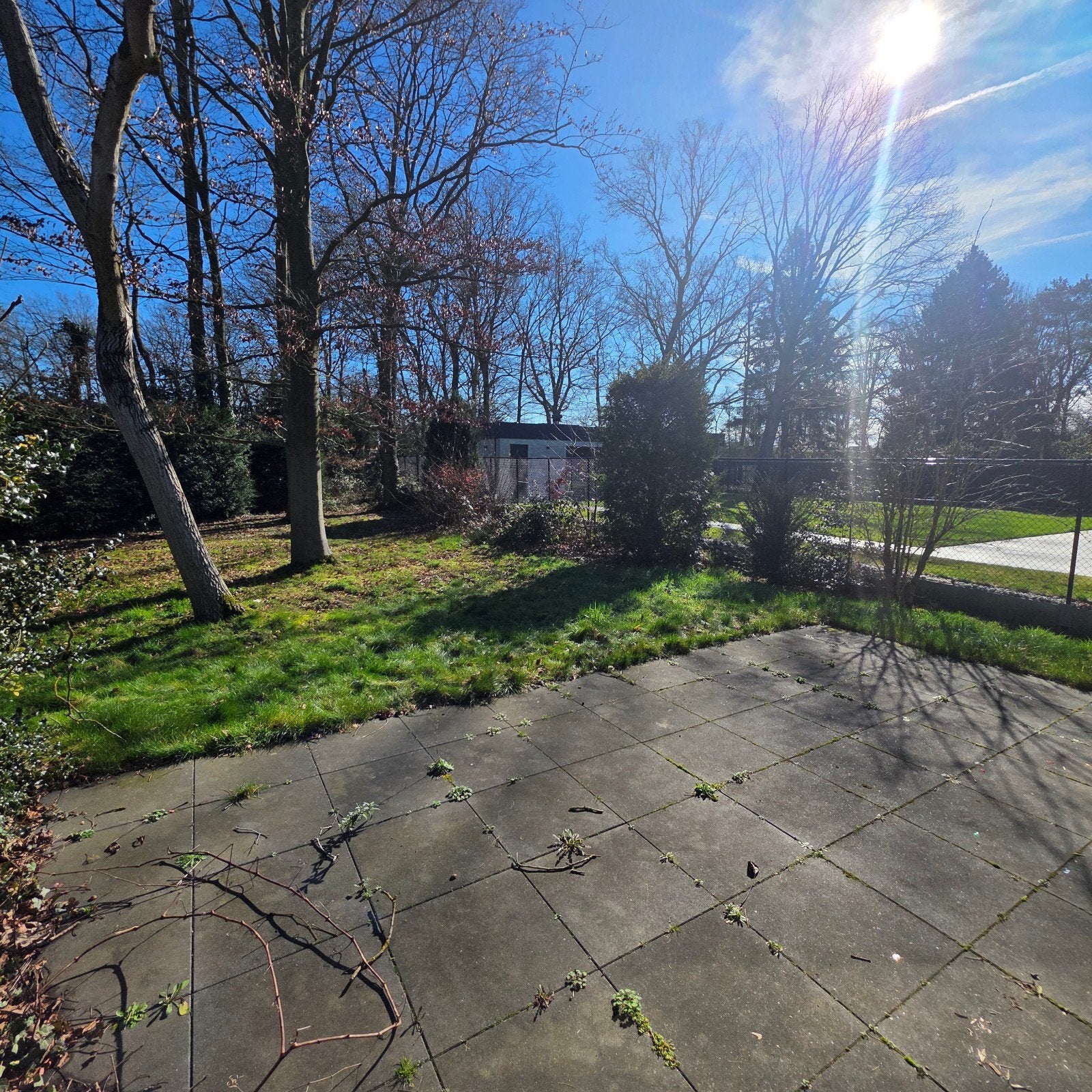 Brandhout, Tuin en Terras, Ophalen