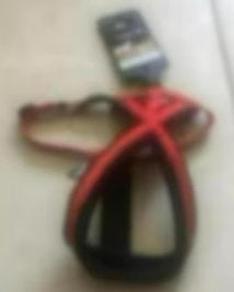 Harnais rouge XS Nobby NEUF, Ophalen of Verzenden, Nieuw, Halsband