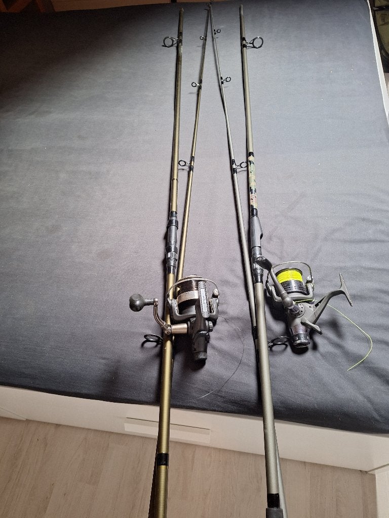 Canne carpe 2 pour 50eur, Enlèvement, Utilisé, Canne à lancer