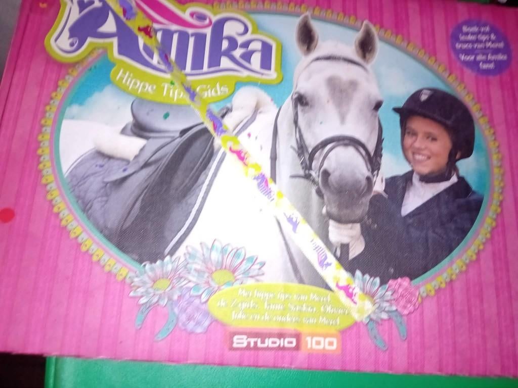 boek amika hippe tips gids, Boeken, Studio 100, Fictie algemeen, Ophalen of Verzenden, Zo goed als nieuw
