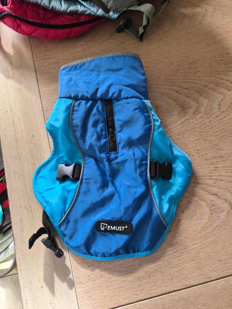 Spulletjes voor chihuahuas, Enlèvement