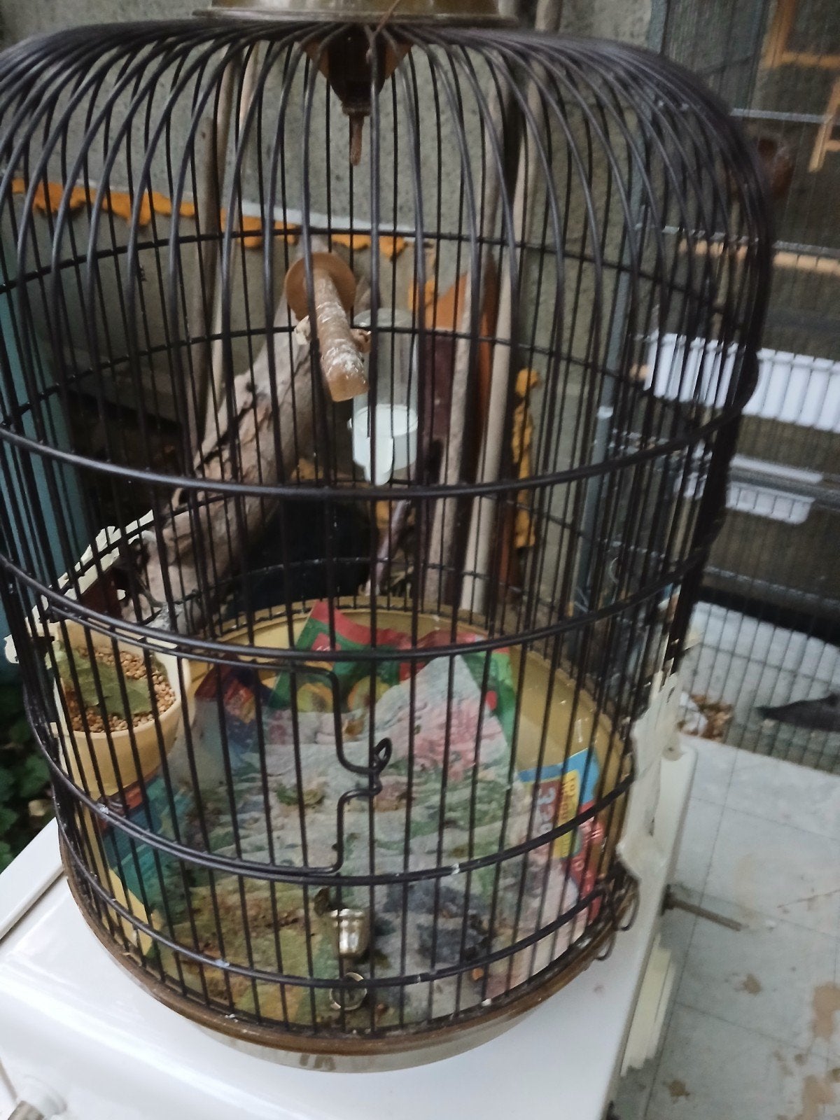 cage pour oisaux