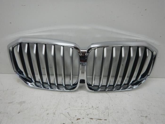 Grille BMW Diversen (22738774), Enlèvement ou Envoi, Utilisé
