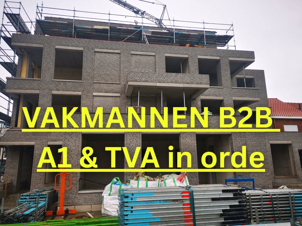 Beschikbare Vakmannen. Renovatie & Afwerking. B2B, Services & Professionnels