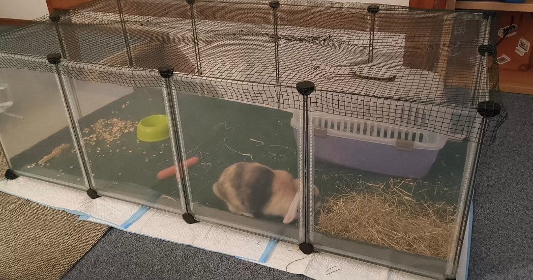Ruime ren/kooi voor knaagdieren, Moins de 60 cm, Cobaye, Enlèvement, Utilisé