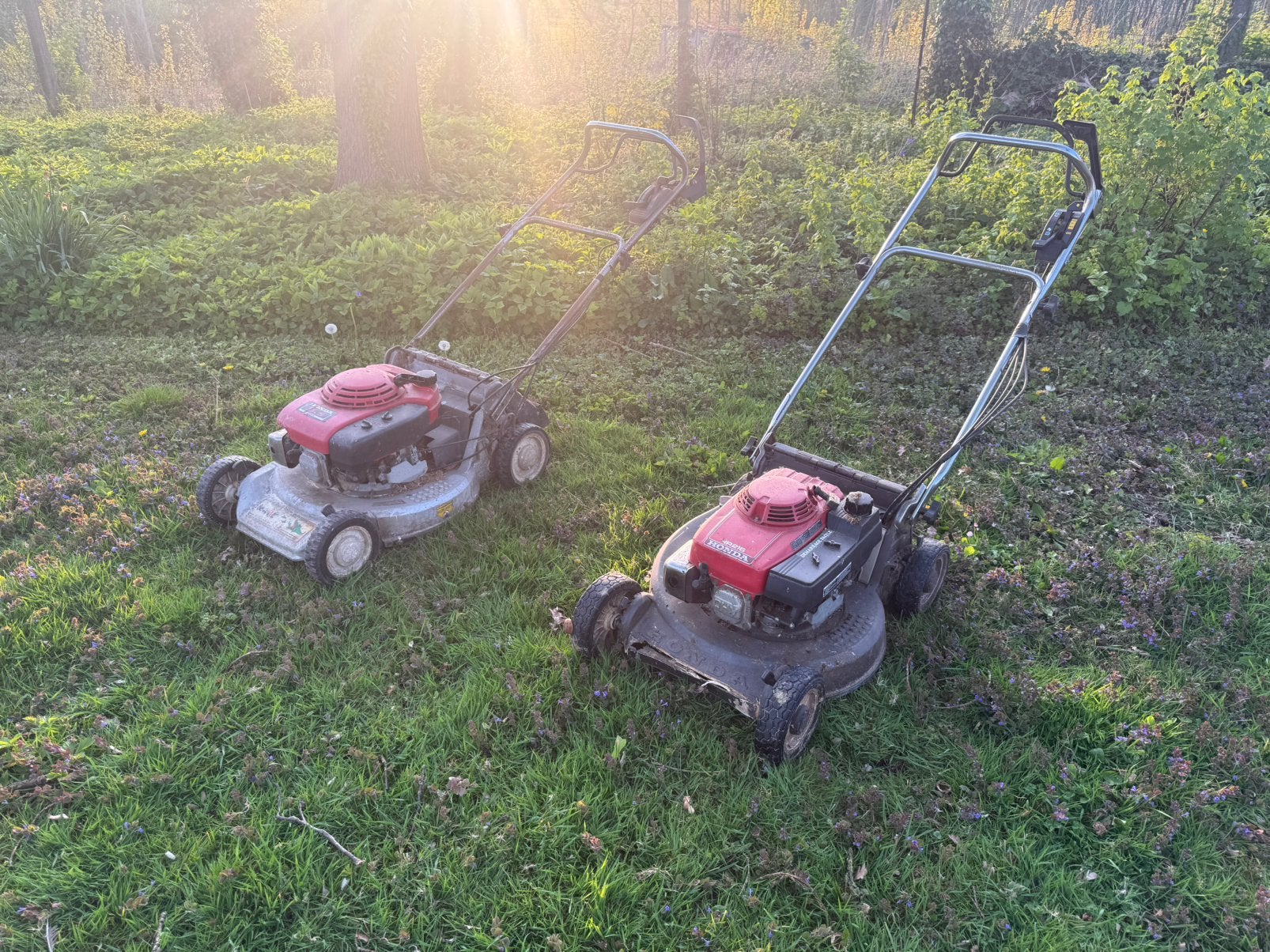 Honda grasmaaiers, Jardin & Terrasse, Enlèvement ou Envoi, Utilisé