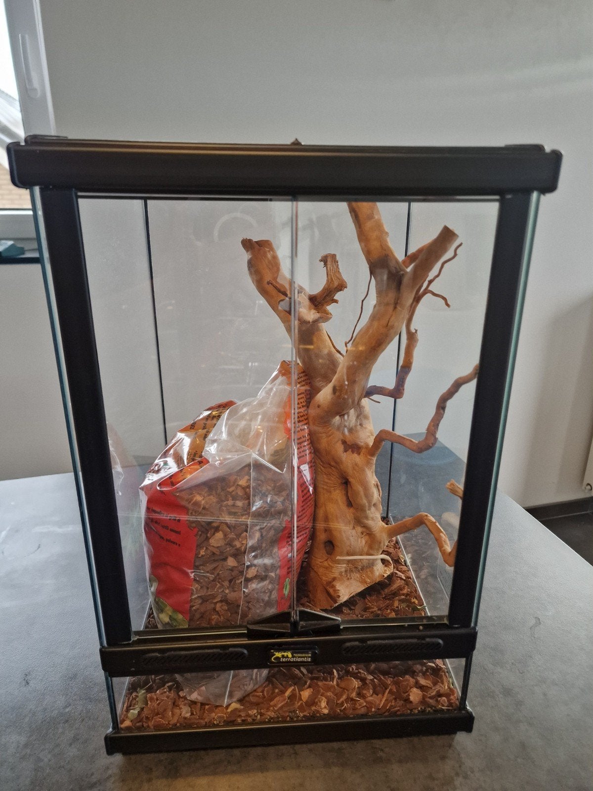 Terratlantis terrarium 30x30x45, Ophalen