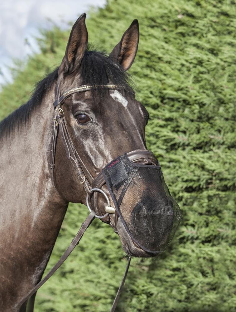 LeMieux Comfort Shield Neusnetje Duo pack M + L SALE!, Ophalen of Verzenden, Nieuw