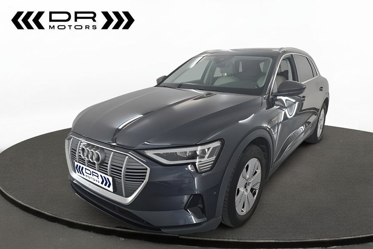 Audi e-tron 55 Quattro Attractive - LEDER, Autos, 0 kg, Argent ou Gris, 408 ch, Beige