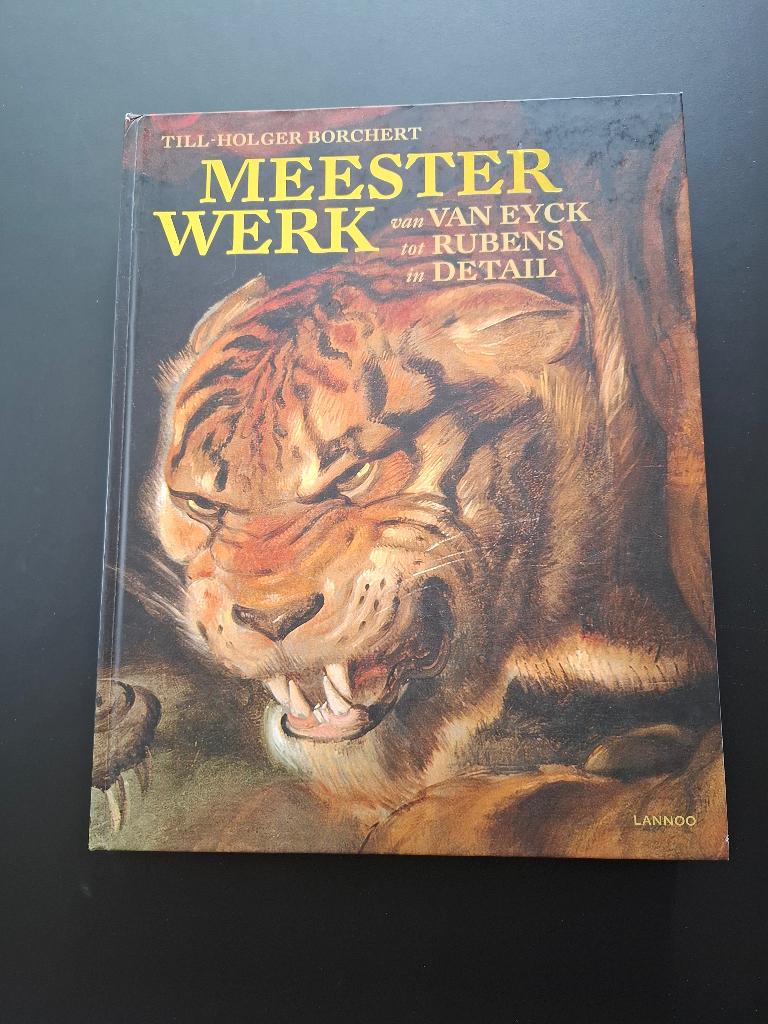 Meesterwerk van Van Eyck tot Rubens in detail, Ophalen, Zo goed als nieuw, Schilder- en Tekenkunst