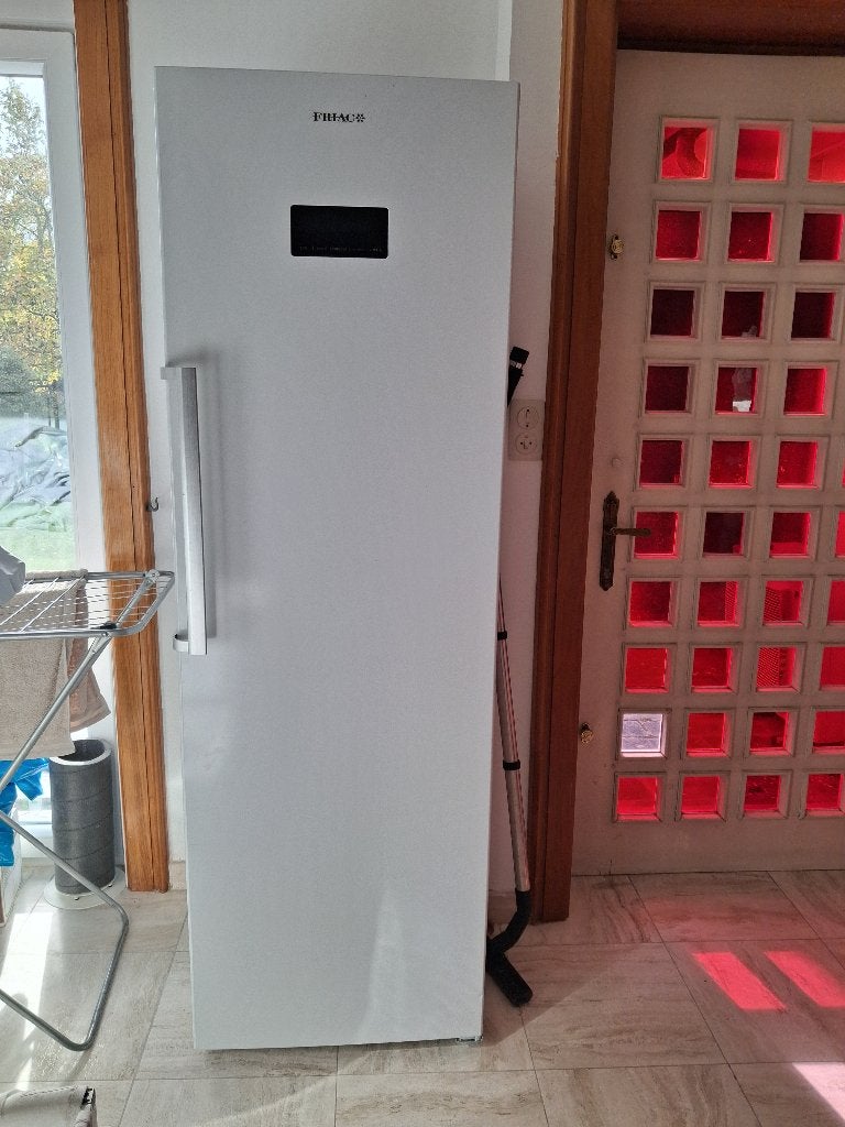 Ruime diepvries rechtstaand 184 cm hoog, Elektronische apparatuur, Ophalen, 200 liter of meer, 160 cm of meer, Zo goed als nieuw