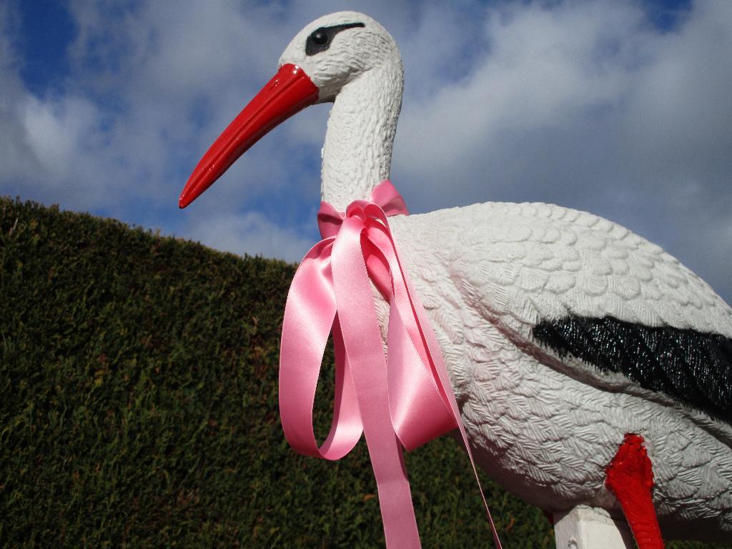 Baby geboortebord of ooievaar + nest voor in de tuin., Kinderen en Baby's, Kraamcadeaus en Geboorteborden, Nieuw, Geboortebord