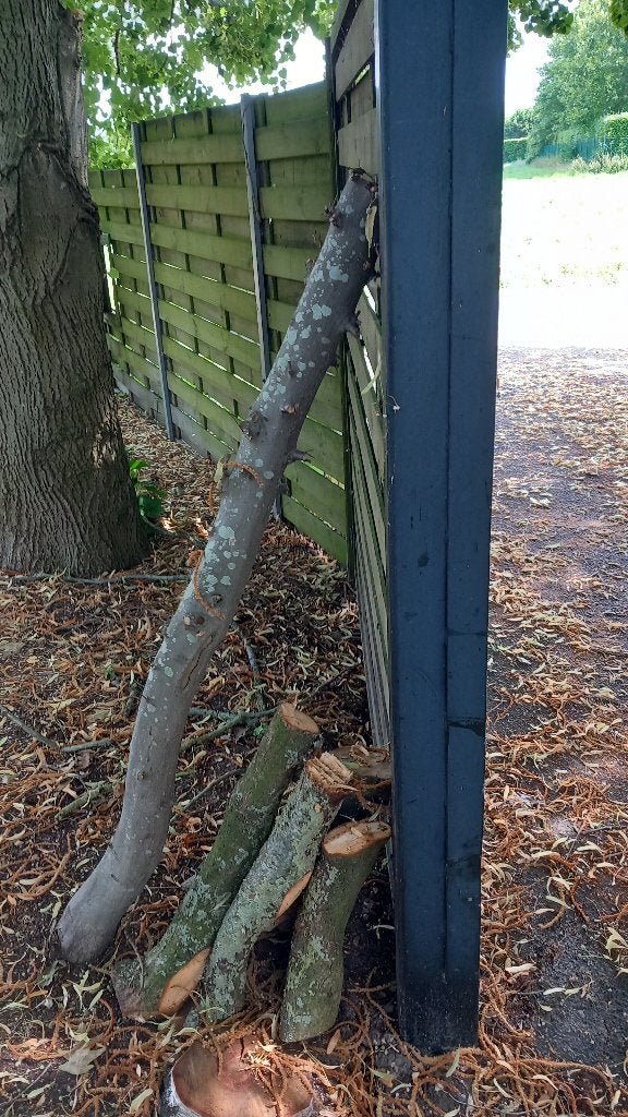 gratis brandhout, Tuin en Terras, Ophalen