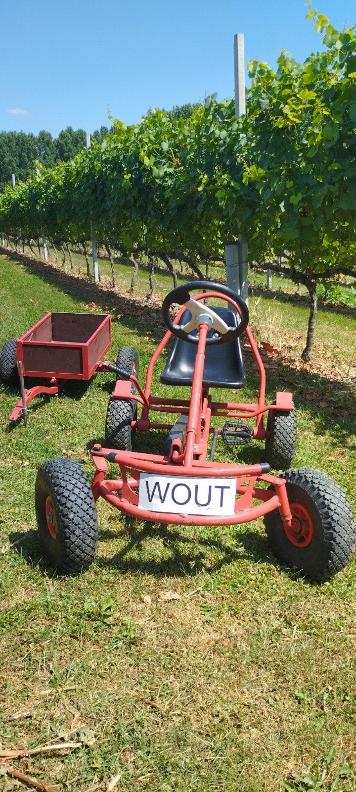 Gokart mamoet, incl. Kar, Ophalen