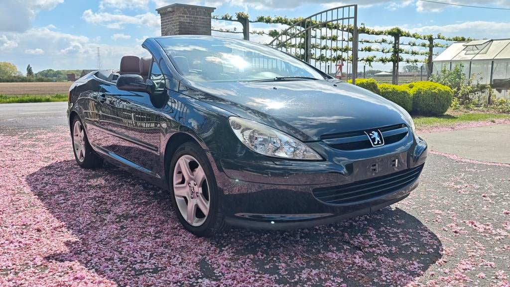 Options complètes de Peugeot 307 cc cabriolet à essence, Cuir, Achat, Entreprise, Cabriolet