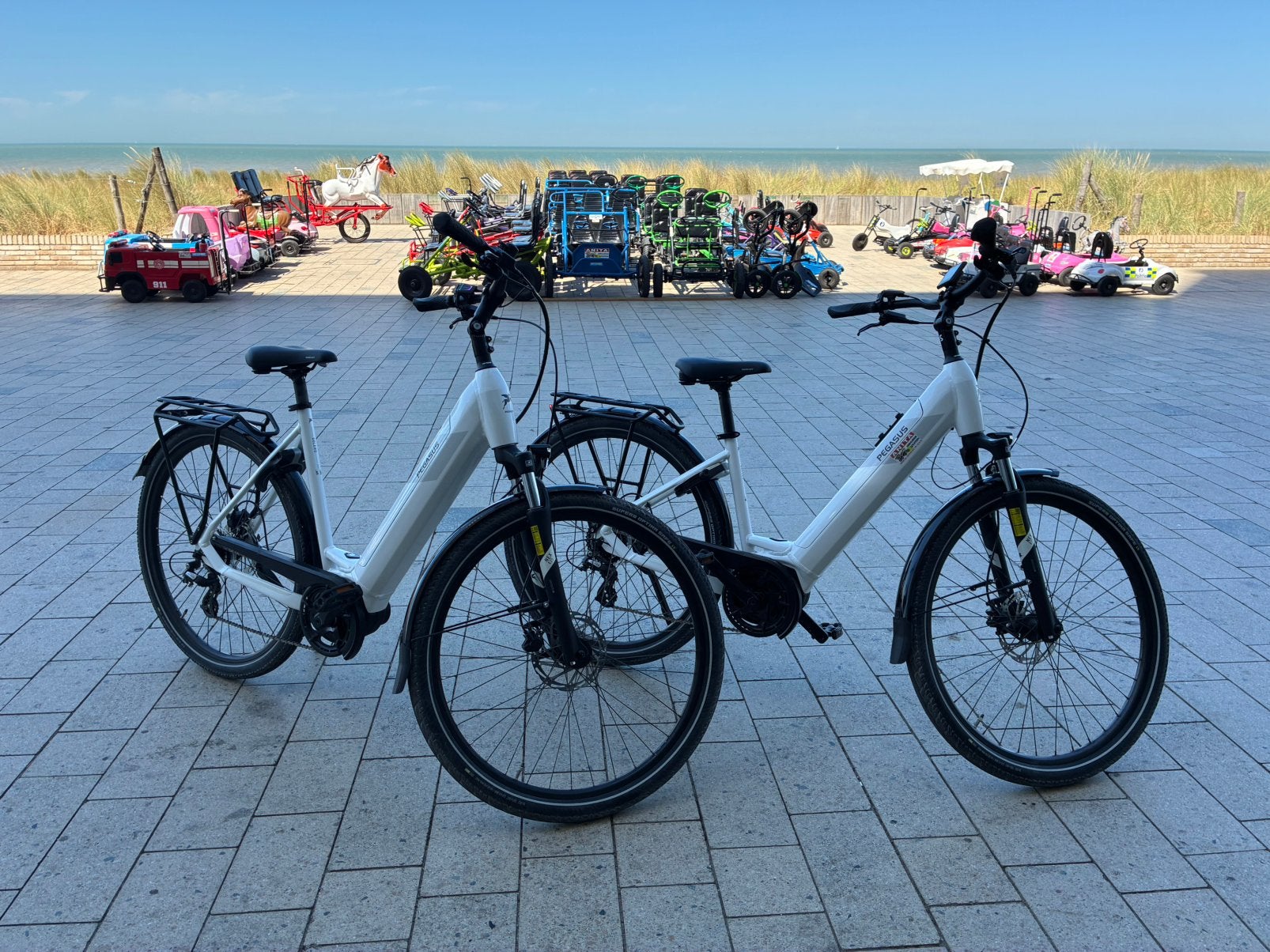 Vélo électrique Pegasus Solero EVO 8 625/750 Wh, Autres marques, 47 à 51 cm, Enlèvement ou Envoi, 50 km par batterie ou plus