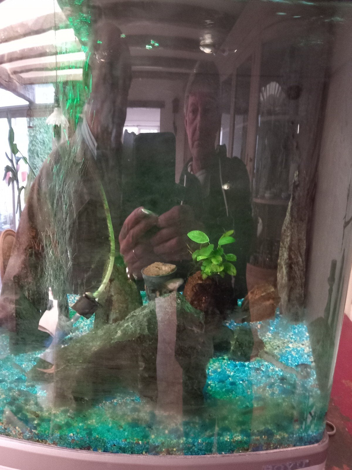 aquarium te koop, Dieren en Toebehoren, Ophalen