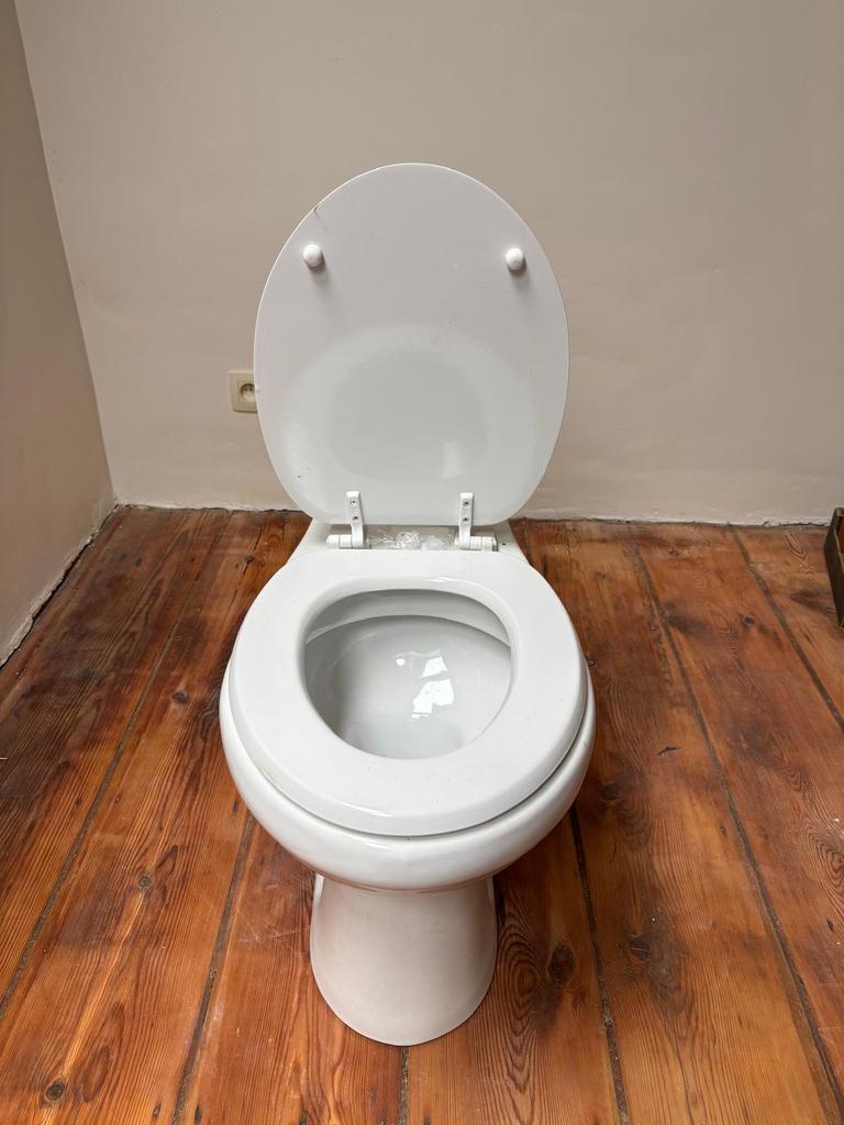 WC avec abattant, Bricolage & Construction, Enlèvement, Utilisé, Toilettes