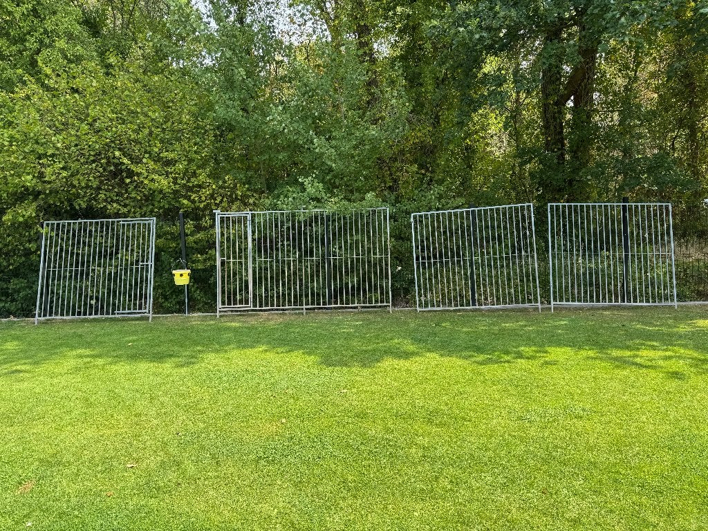 hondenrennen, Dieren en Toebehoren, Ophalen