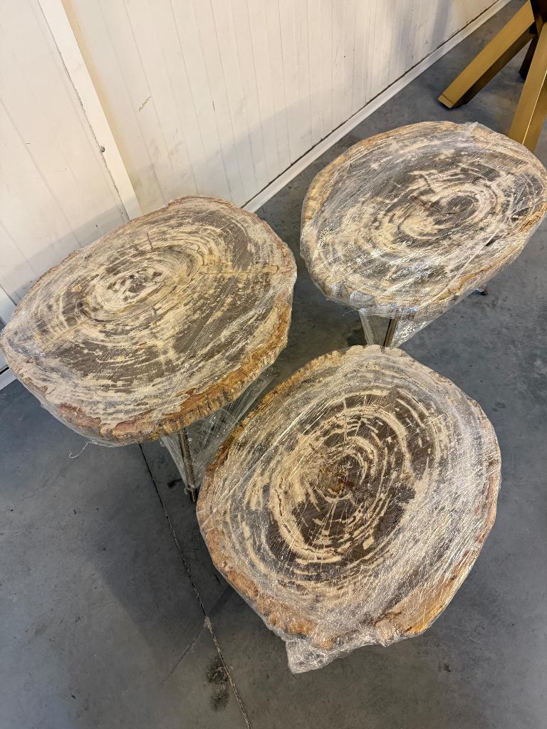 Salon tafels versteend hout, Enlèvement, Comme neuf