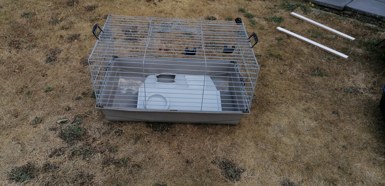 kooi voor cavia of konijn, Dieren en Toebehoren, Ophalen, Kooi, Cavia