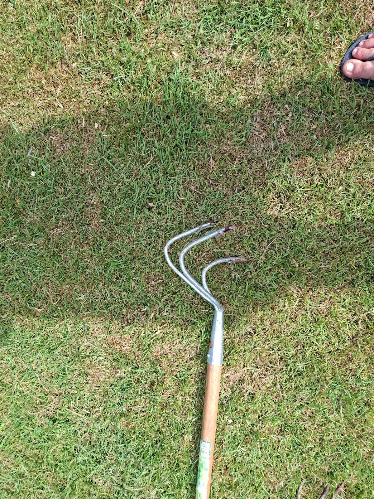 Cultivator, Ophalen, Gebruikt, Cultivator