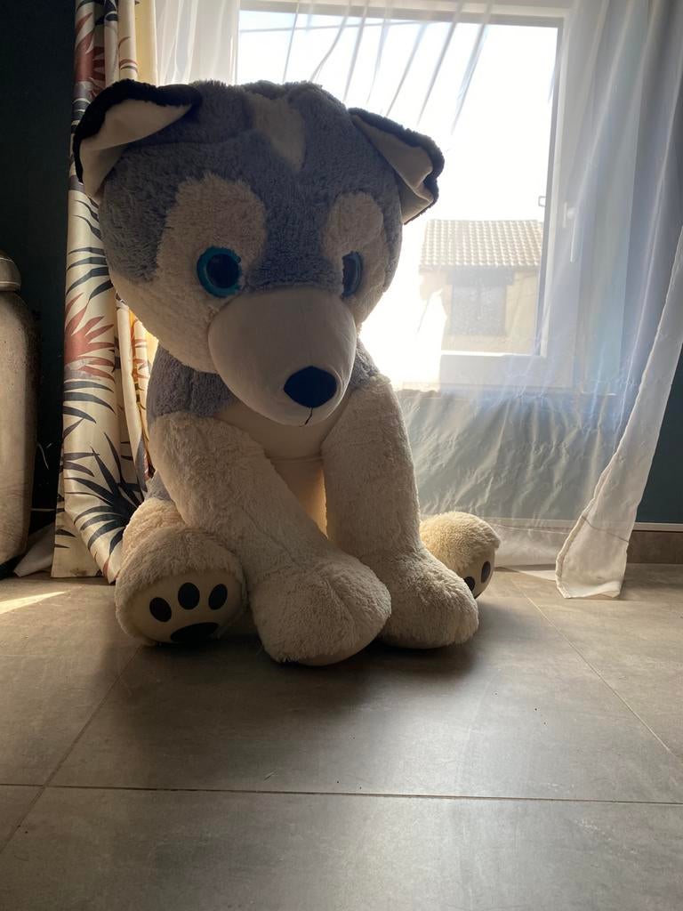 Peluche geante husky, Enlèvement, Chien