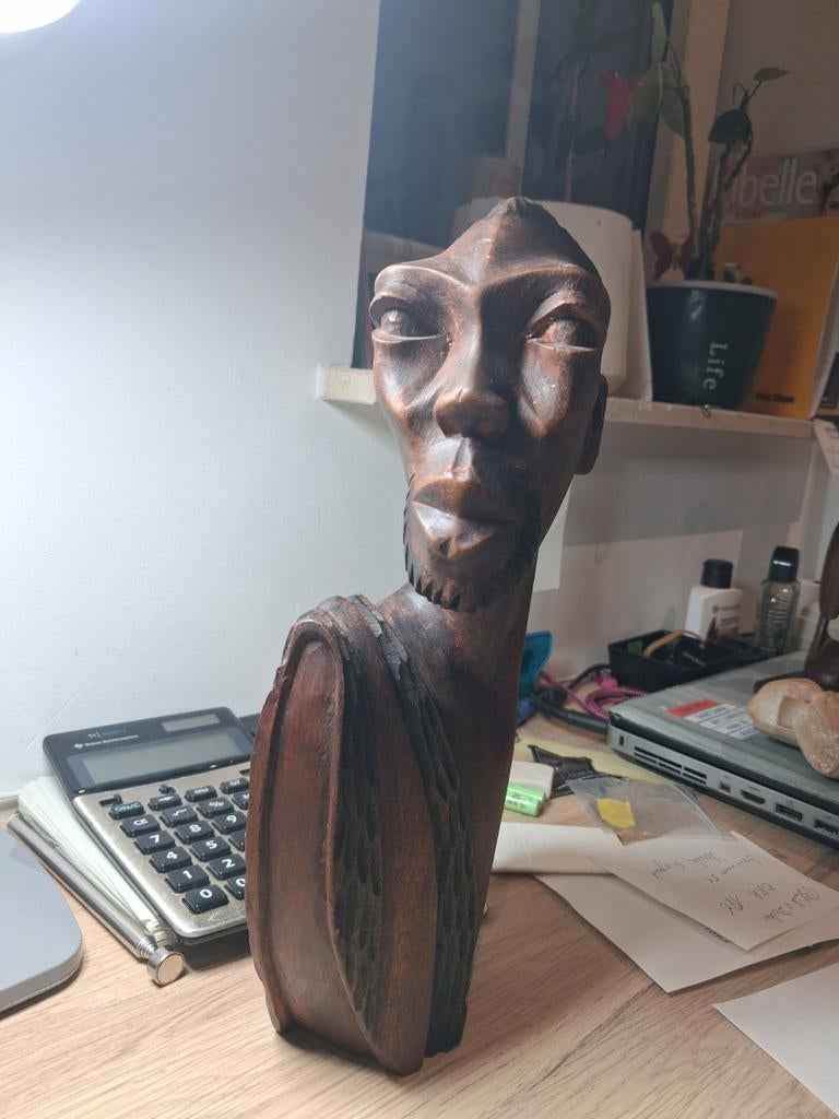 Congolese bustes., Enlèvement