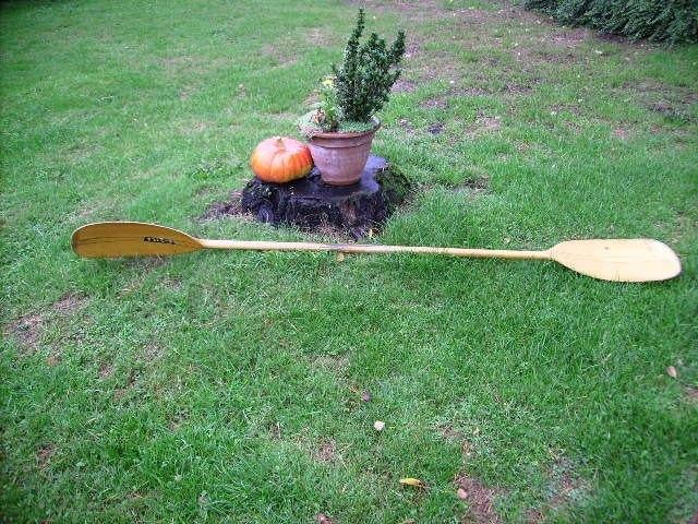 Pagaie pour Kayak, Enlèvement, Utilisé, Pagaies de SUP