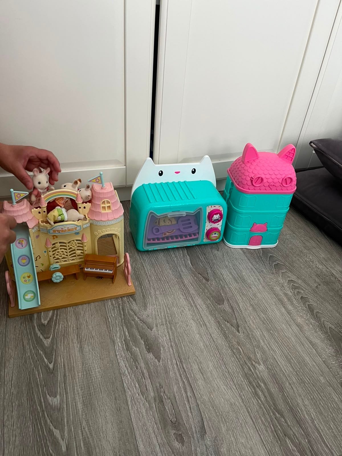 Hello Kitty & Sylvanian Families, Enlèvement