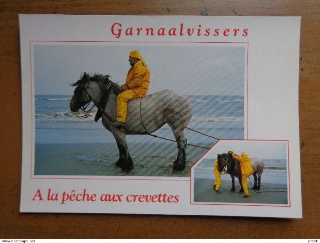 Postkaart Belgische Kust, Garnaalvissers, Enlèvement ou Envoi, Non affranchie, Flandre Occidentale