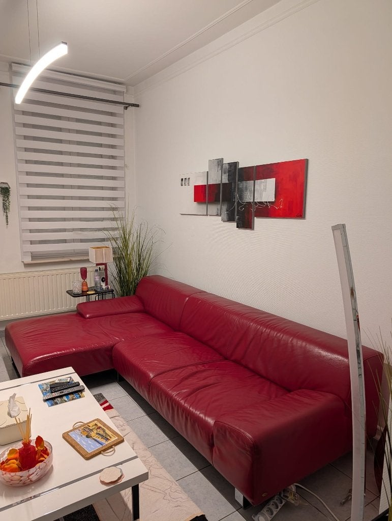 Canapé d'angle en cuir rouge LongLife Valdalpone, Italian style, 250 à 300 cm, Banc d'angle, Quatre personnes ou plus