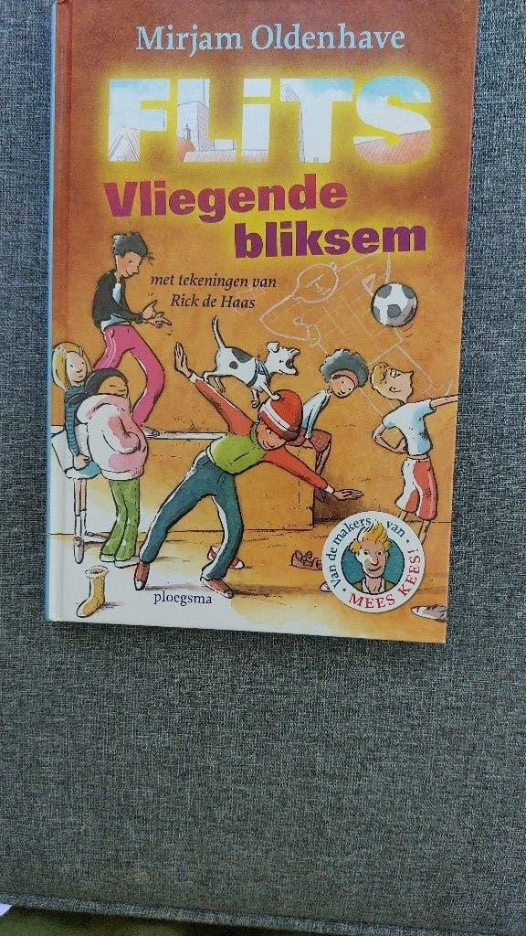 Kinderboek Flits, Boeken, Ophalen of Verzenden, Zo goed als nieuw, Fictie