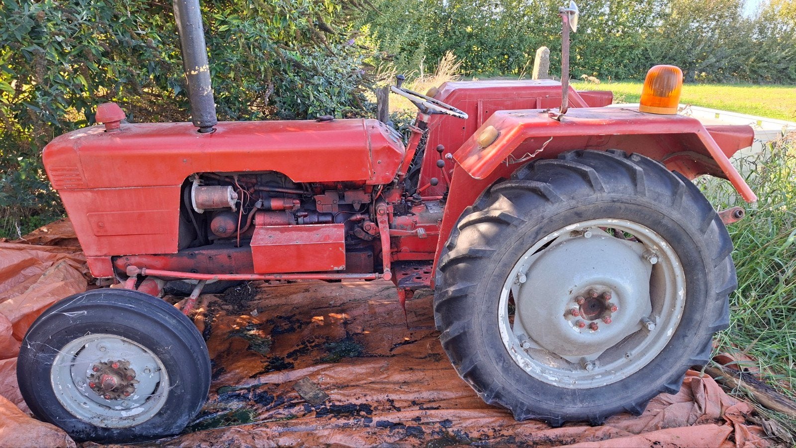 Tracteur David Brown, Enlèvement, Oldtimer/Ancêtre, Autres marques