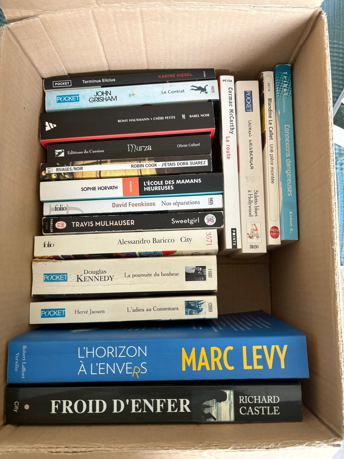 Lot de 17 livres style thrillers et tranches de vie, Livres, Enlèvement, Comme neuf