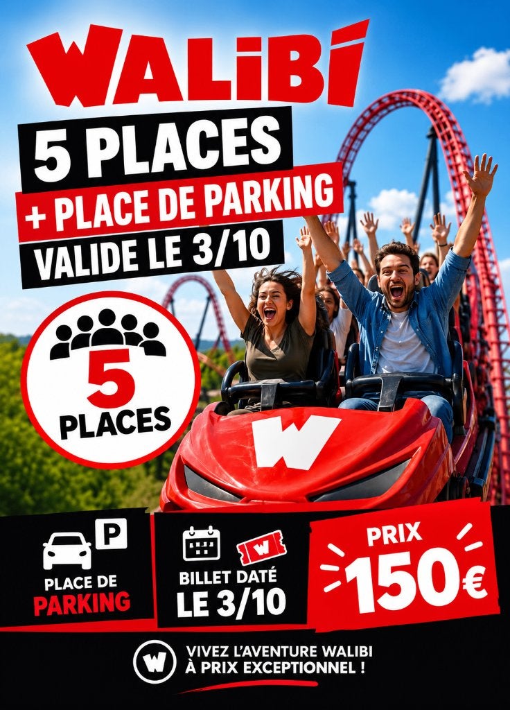 Ticket Walibi 3/10, Tickets & Billets