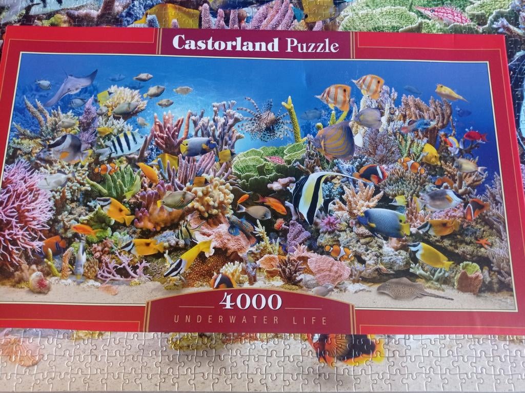 Puzzel 4000 stukjes, Ophalen of Verzenden, Meer dan 1500 stukjes, Zo goed als nieuw, Legpuzzel