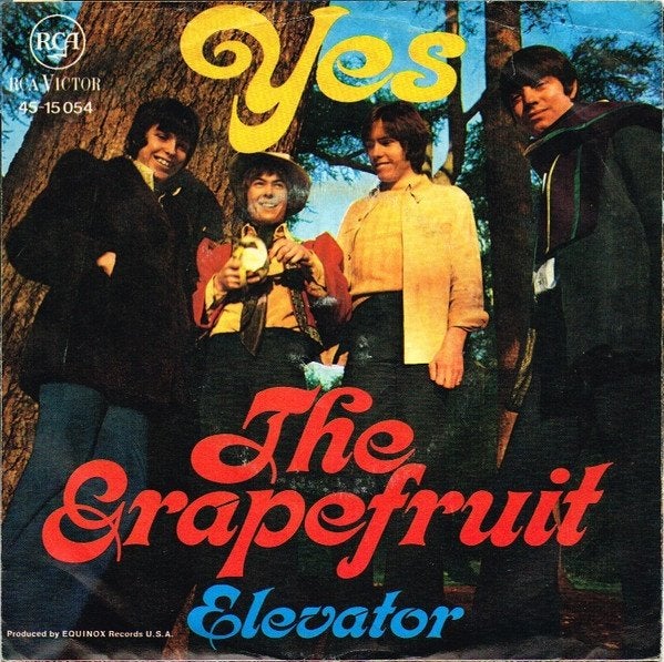 the grapefruit, Ophalen of Verzenden