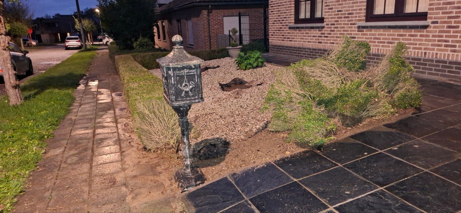 nous sommes en train de découper notre Buxus, vous pouvez ve, Jardin & Terrasse, Enlèvement, Buis, Haie