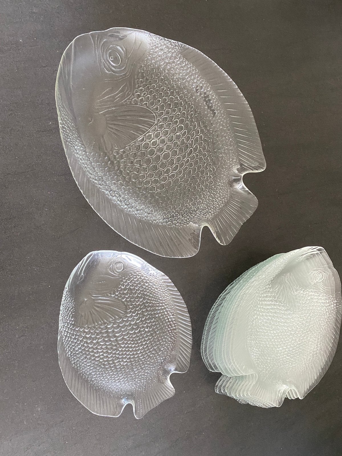 ARCOROC France visservies (serveerschaal + 12 glazen borden), Ophalen, Vintage, Compleet servies, Glas