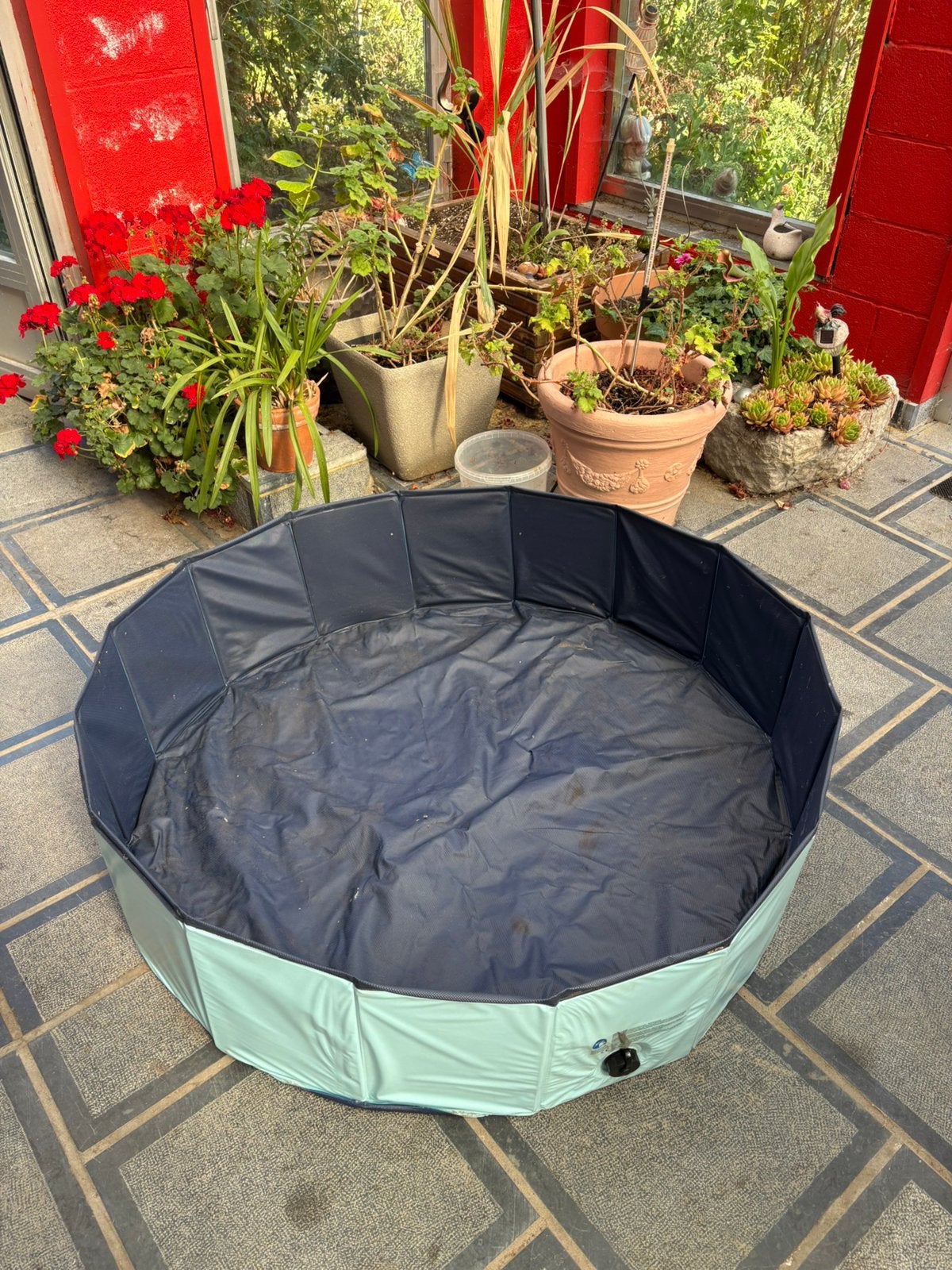Piscine et tapis eau pour chien, Ophalen, Nieuw