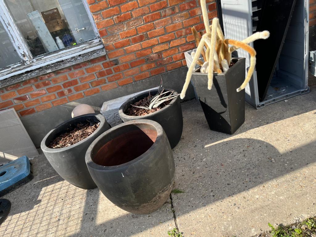 4 mooie grote bloembakken, Enlèvement